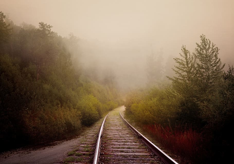 gris, carretera ferroviària, centre, verd, arbres, boira, carretera, rail, bosc, vell, fabulós, estiu, paisatge, fantasia, cap gent, transport, arbre, el camí a seguir, escena tranquil·la, planta, direcció, vies del ferrocarril, transport per ferrocarril, pista, naturalesa, medi ambient, terra, tardor, tranquil·litat, perspectiva decreixent, bellesa a la natura, a l'aire lliure, 4K