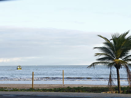 strand, Sol, kokosnootboom, water, zee, hemel, boom, fabriek, land-, tropisch klimaat, palmboom, schoonheid in de natuur, natuur, scenics - natuur, horizon over water, horizon, wolk - lucht, dag, kalmte, geen mensen, rustige scène, buitenshuis, 4K, CC0, publiek domein, royaltyvrij