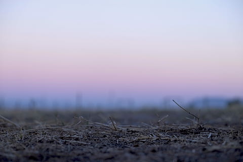 iarba maro, copac, în aer liber, pitoresc, nor, zori de zi, reflecţie, naţional, pace, siluetă, deal, spaţiu, râu, ocean, întuneric, plantă, climat, toamnă, nisip, plajă, parc, cer, apus de soare, natură, peisaj, selectiv, mediu inconjurator, spațiu copie, nici o persoana, teren, ceaţă, frumusețe în natură, liniște, amurg, dimineaţă, scenice - natura, soare, 4K, CC0, domeniu public, fără drepturi de autor
