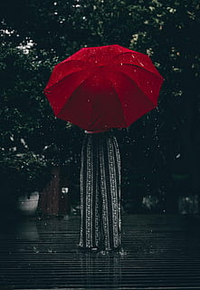 mujer, participación, rojo, paraguas, en pie, árbol, tiempo de día, persona, arboles, lluvia, lloviendo, planta, agua, naturaleza, proteccion, nadie, de cerca, al aire libre, día, seguridad, centrarse en primer plano, mojado, la seguridad, soltar, Arte y artesanía, 4K, CC0, dominio público, libre de derechos
