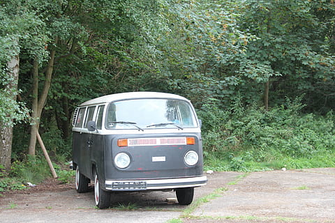 bus, vw, gammel, oltimer, vw bus, camping bus, autocamper, Bulli, rustfri, volkswagen, transportmidler, transportform, plante, træ, land køretøj, motor køretøj, dag, bil, grøn farve, vej, natur, vækst, jord, ingen mennesker, udendørs, stationær, Skov, gade, grusvej, rejse, 5K, CC0, offentligt domæne, royaltyfrie