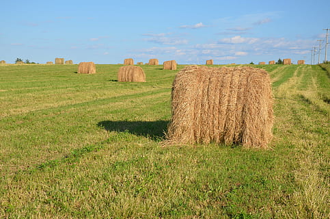 Rollen, Feld, Stroh, Wolken, Blau, Himmel, Landschaft, Natur, blauer Himmel, Ballen, Heu, Land, Pflanze, Landwirtschaft, Gras, Bauernhof, ländliche Szene, Umgebung, ruhige Szene, Ruhe, Schönheit in der Natur, aufgerollt, Szenen - Natur, keine Leute, Tag, draußen, 4K, CC0, gemeinfrei, lizenzfrei