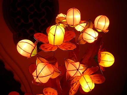 lanterna, lanterne, luce, luminosa, splendente, splendere, Cina, fiore, giallo, decorazione, lampada elettrica, attrezzatura per l'illuminazione, illuminato, notte, ornato, sfondi, celebrazione, sospeso, lanterna cinese, Inquadratura dal basso, nessuno, in casa, raggiante, elettricità, avvicinamento, grande gruppo di oggetti, vacanza, Capodanno cinese, festival delle lanterne cinesi, Festival, Lanterna di carta, 1080P, CC0, dominio pubblico, privo di copyright