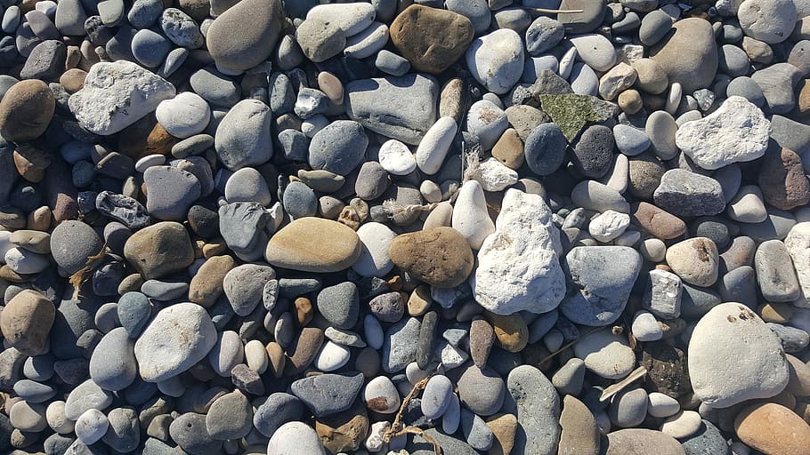platja de còdols, mappleton, Yorkshire, Costa, costa de Yorkshire, rock - object, còdols, naturalesa, pedra - objecte, fons, patró, a l'aire lliure, gris, textura, cap gent, platja, marc complet, sòlid, rock, dia, gran grup d'objectes, pedra, abundància, terra, llum solar, vista d’angle alt, forma, 5K