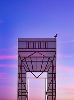 schwarz, Vogel, oben, rot, Stahlstruktur, braun, Metallbogen, Gebäude, Struktur, Sonnenuntergang, Himmel, Tierthemen, Tier, die Architektur, Tierwelt, Wirbeltier, Tiere in freier Wildbahn, Natur, keine Leute, gebaute Struktur, ein Tier, Turm, Flachwinkelansicht, draußen, Dämmerung, Tag, hocken, Blau, lila, 4K, CC0, gemeinfrei, lizenzfrei