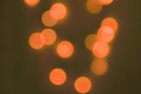 bokeh, Latar Belakang, lingkaran, cahaya, gambar latar belakang, suasana, tidak fokus, mengaburkan, diterangi, abstrak, hari Natal, tutul, malam, perayaan, bersinar, tidak ada orang, dekorasi, bentuk, bentuk geometris, peralatan penerangan, pola, liburan, sekelompok objek, warna cerah, efek bertekstur, terang benderang, funky, warna jenuh, di luar rumah, proyeksi, 4K, CC0, domain publik, bebas royalti