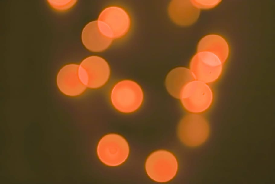 bokeh, fons, cercle, llum, imatge de fons, atmosfera, fora de focus, borrós, defocated, il·luminat, resum, Nadal, tacat, nit, celebració, brillant, cap gent, decoració, forma, forma geomètrica, equips d’il·luminació, patró, festa, grup d'objectes, color vibrant, efecte texturat, lluminós, funky, color saturat, a l'aire lliure, projecció, 4K
