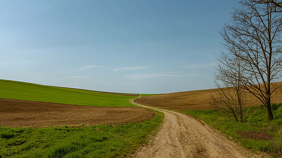 mig, verd, planes, Camí, camp, camps, carril, naturalesa, arbre, herba, Carretera bruta, escena rural, paisatge, estiu, cel, a l'aire lliure, carretera, prat, turó, blau, terra, el camí a seguir, medi ambient, direcció, tranquil·litat, escenics - natura, bellesa a la natura, escena tranquil·la, planta, cap gent, brutícia, escena no urbana, transport, perspectiva decreixent, 5K, CC0, domini públic, lliure de regalies