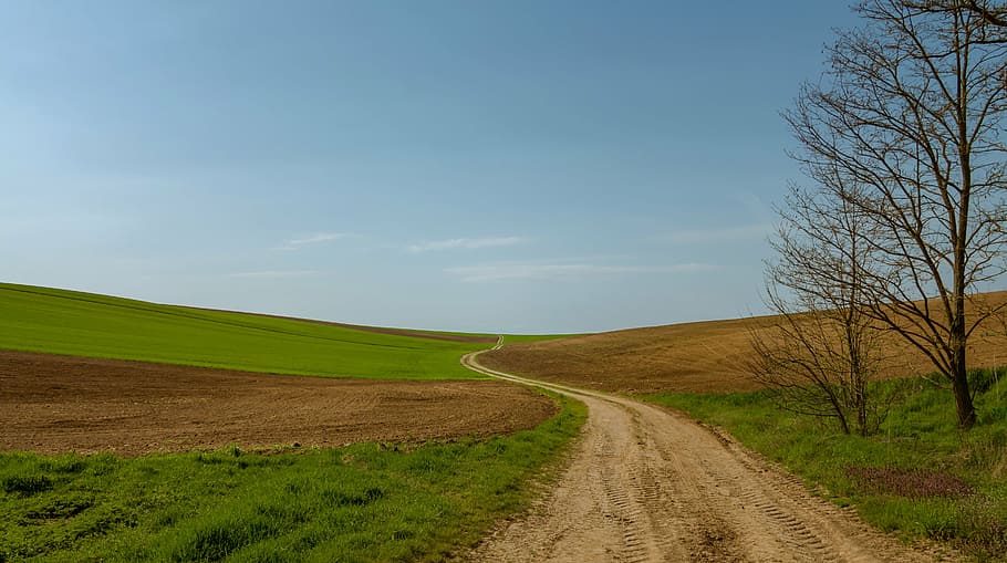 mig, verd, planes, Camí, camp, camps, carril, naturalesa, arbre, herba, Carretera bruta, escena rural, paisatge, estiu, cel, a l'aire lliure, carretera, prat, turó, blau, terra, el camí a seguir, medi ambient, direcció, tranquil·litat, escenics - natura, bellesa a la natura, escena tranquil·la, planta, cap gent, brutícia, escena no urbana, transport, perspectiva decreixent, 5K