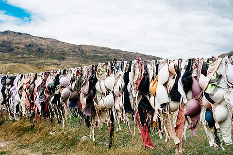 assorteret, bh'er, hængt, tråd, assorteret farve brassiere parti, brystkræft, dyr, udendørs, natur, hest, dyr og kæledyr, farvebillede, gruppe af dyr, stor gruppe dyr, dyre temaer, dag, ingen mennesker, himmel, pattedyr, indenlandske, sky - himmel, husdyr, kæledyr, hvirveldyr, jord, Mark, miljø, dyreliv, landskab, planteædende, flok, 4K, CC0, offentligt domæne, royaltyfrie