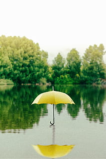 amarillo, paraguas, superficie, agua, tiempo de día, naturaleza, lluvia, sombrilla, clima, al aire libre, lago, nadie, verano, reflexión, flotando en el agua, planta, árbol, belleza en la naturaleza, día, tranquilidad, centrarse en primer plano, de cerca, cielo, cielo limpio, color verde, escena tranquila, 2K, CC0, dominio público, libre de derechos