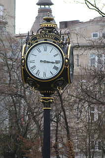 orologio, Bucarest, tempo, Inquadratura dal basso, architettura, albero nudo, albero, ramo, nessuno, giorno, esterno dell'edificio, pianta, struttura costruita, precisione, concentrarsi sulle conoscenze acquisite, natura, all'aperto, costruzione, strada, numero romano, quadrante, mano minuta, 5K, CC0, dominio pubblico, privo di copyright