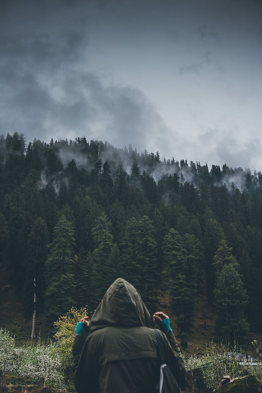 persona, de cara, arbres, gris, núvols, cap enrere, bosc, arbre, núvol, boira, ennuvolat, verd, jaqueta, campana, tempesta, planta, vista del darrere, persones reals, cel, activitat d'oci, naturalesa, estils de vida, muntanya, terra, bellesa a la natura, gent, núvol - cel, adult, homes, creixement, escenics - natura, medi ambient, a l'aire lliure, roba calenta, caputxa - roba, 5K