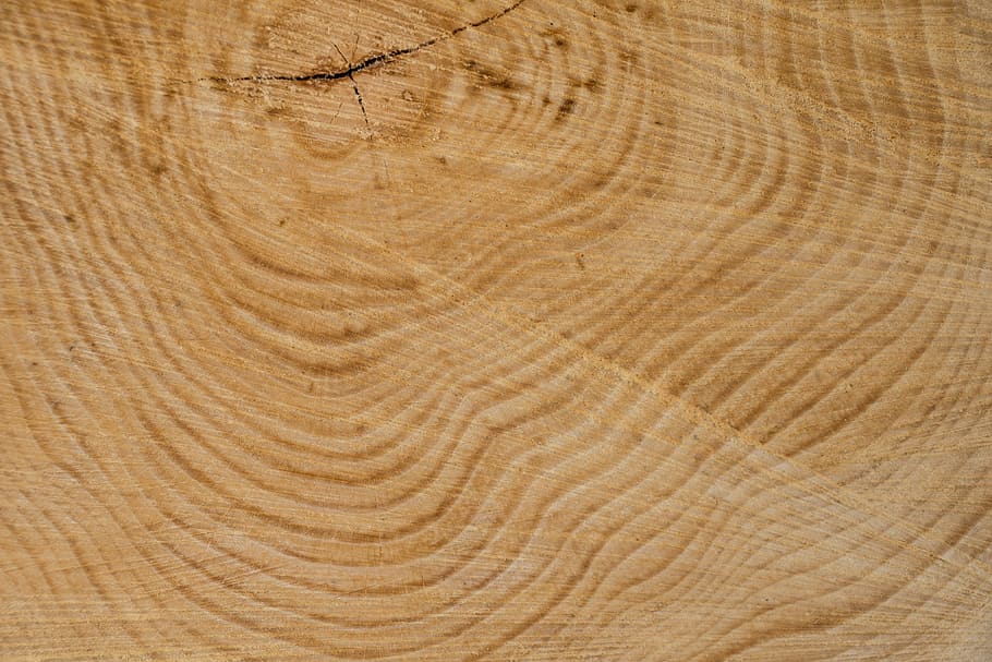 sense títol, fusta, estructura, arbre, textura, anells anuals, gra, marró clar, registre, naturalesa, sec, fons, patró, gra de fusta, material de fusta, patró natural, marc complet, marró, primer pla, sòls, cap gent, material, tauler, còpia espai, nivell superficial, fusta dura, anell d’arbre, pi, efecte texturat, fusta de pi, 5K