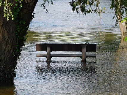 panchina, fiume, alluvione, acqua, natura, lago, albero, lungomare, nessuno, posto a sedere, giorno, legno - materiale, pianta, increspato, vuoto, bellezza nella natura, all'aperto, la tranquillità, tronco, tronco d'albero, 4K, CC0, dominio pubblico, privo di copyright
