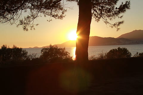 tramonto, Marinca, corsican, cielo, bellezza nella natura, la tranquillità, scena tranquilla, acqua, albero, scenics - natura, lago, pianta, silhouette, sole, montagna, natura, luce del sole, nessuno, idilliaco, raggio di sole, scena non urbana, riflesso lente, catena montuosa, all'aperto, 5K, CC0, dominio pubblico, privo di copyright