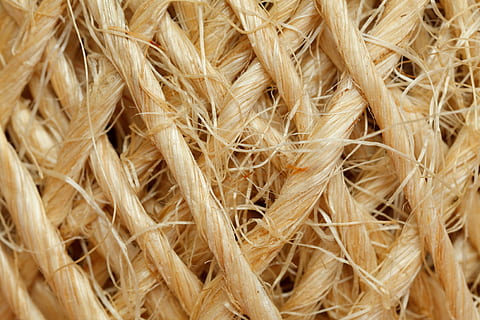 bretelle marroni, astratto, sfondo, palla, cordone, dettaglio, fibra, canapa, nodo, Materiale, naturale, modello, rotolo, corda, sisal, stringa, struttura, filo, spago, giallo, fotogramma intero, avvicinamento, sfondi, pianta, nessuno, raccolto, natura, agricoltura, pianta di cereali, Marrone, cannuccia, asciutto, scena rurale, cibo, cibo e bevande, azienda agricola, seme, strutturato, Grano, giorno, maturo, 4K, CC0, dominio pubblico, privo di copyright