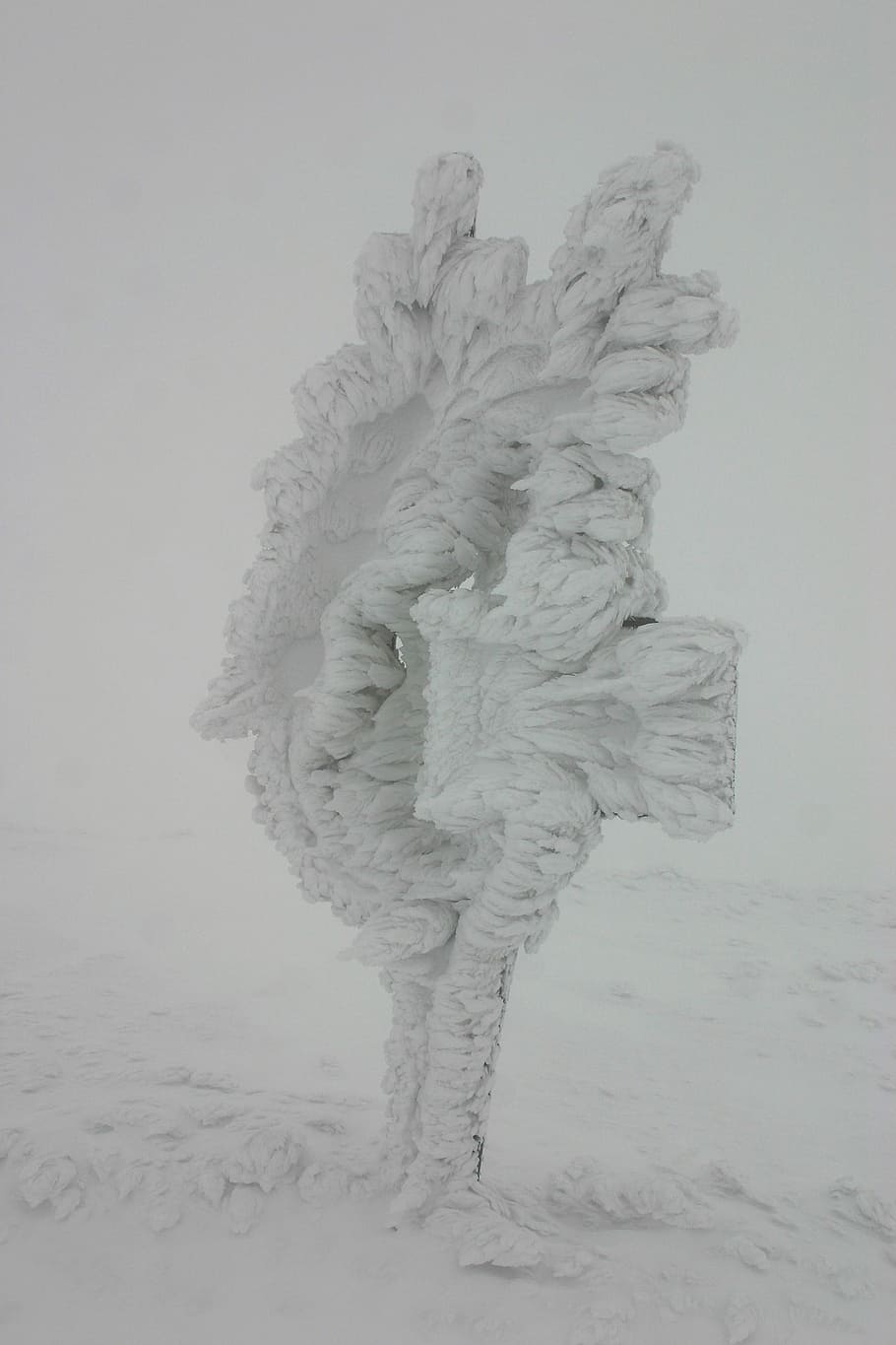 vinter, underskrift, sne hvid, kold, sne, hvid, landskab, træ, vejr, bjerg, vandring, slovakiet, fredelig, natur, studio skud, ingen mennesker, dag, udendørs, tæt på, kold temperatur, hvid farve, jord, indendørs, Frosset, kreativitet, Mark, mønster, reb, Kunst og håndværk, tekstil, dækker, sand, blødhed, pulver sne, 2K