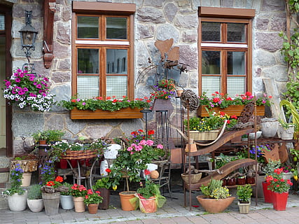 Pflanzen in verschiedenen Farben und Sorten, gepflanzt, Töpfe in verschiedenen Farben, Vorderseite, Fenster, tagsüber, Blumen, Verschluss, Zuhause, Fassade, draussen, Blume, Fensterbrett, hauswand, Gebäude, Flora, Blumenkasten, Blumentopf, Europa, Haus, draußen, die Architektur, Pflanze, Gebäudehülle, blühende Pflanze, gebaute Struktur, Wachstum, Topfpflanze, Tag, Natur, keine Leute, Schönheit in der Natur, Frische, Verkauf, Variation, Verkaufsdisplay, Fensterbox, Gartenarbeit, 4K, CC0, gemeinfrei, lizenzfrei