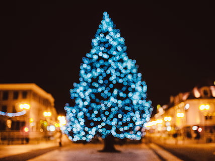 encès, blau, arbre de Nadal, arbre, cadena, llums, nit, temps, Nadal, decoracions, festiu, vacances, fosc, tarda, bokeh, decoració de Nadal, il·luminat, llums de Nadal, celebració, vacances - esdeveniment, esdeveniment de celebració, arquitectura, decoració, exterior de l'edifici, estructura construïda, festa, ciutat, naturalesa, carrer, equips d’il·luminació, cap gent, a l'aire lliure, adorn de Nadal, llum, 4K, CC0, domini públic, lliure de regalies