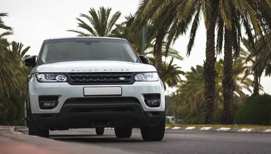 blanc, vehicle rover de gamma, verd, fulles, arbres, Range Rover, Land Rover, var, rang, rover, terra, cotxe, vehicle, camió, sorra, trepitjar, patró, 4, pneumàtic, platja, línies, ritme, carretera, conduir, esport, estiu, Cali, Califòrnia, transport, viatjar, naturalesa, diversió, estil de vida, a l'aire lliure, feliç, automòbil, viatge, aventura, bicicleta, vacances de primavera, vacances, equipament, inspirador, extrem, europa, passeig, Palmera, mode de transport, vehicle terrestre, arbre, dia, manera de transport, clima tropical, planta, ciutat, moviment, festa, carrer, destinacions de viatge, vehicle utilitari esportiu, viatge de carretera, luxe, 4K