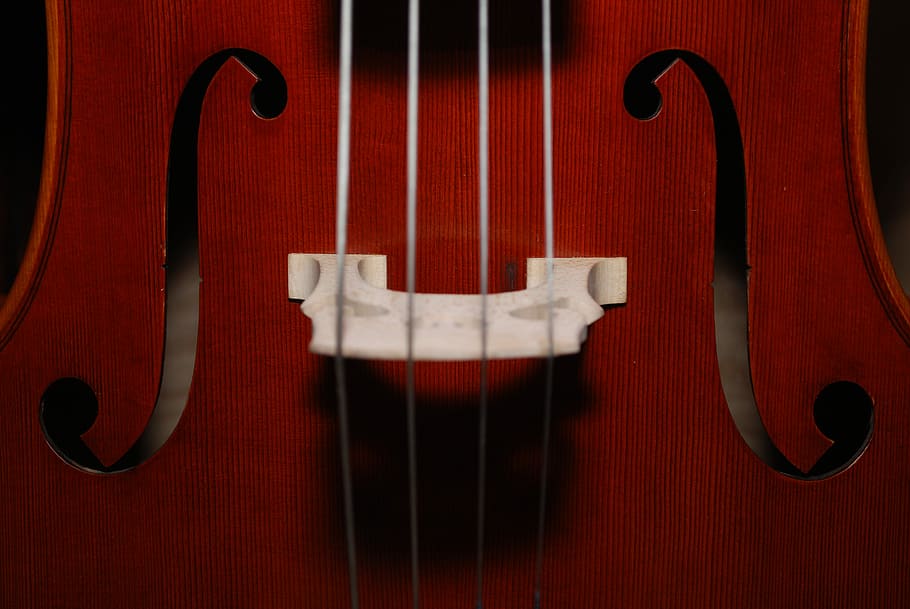 cara, música, pt., fotografia macro, guitarra f-hole, orquestra, cadena, violí, viola, violoncel, instrument, fusta, texa, groc, luthier, simfonia, instrument musical, a l'interior, tir de l'estudi, instrument de corda, cultura i entreteniment artístic, material de fusta, cap gent, equipament musical, primer pla, contrabaix, vermell, dos objectes, fons de colors, sol objecte, marró, música clàssica, paper, menjar i beguda, 4K
