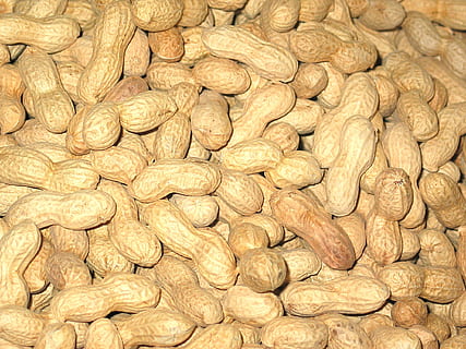 Erdnüsse, Weihnachten, Nüsse, Hintergrund, Advent, Weihnachtsdekoration, Nikolaus, Dekoration, Snack, Erdnüsse knacken, Riss, Ferien, Weihnachtsmann, Weihnachtszeit, Weihnachtsmotiv, Fröhliche Weihnachten, Dezember, Heiligabend, Winter, Supermarkt, Lebensmittel, Essen, gesund, Essen und Trinken, große gruppe von gegenständen, Frische, Vollbild, Hintergründe, gesundes Essen, keine Leute, Wohlbefinden, Stillleben, Nuss, Fülle, Nahansicht, braun, Nuss - Essen, drinnen, Obst, zu verkaufen, Markt, getrocknetes Essen, 1080P, CC0, gemeinfrei, lizenzfrei