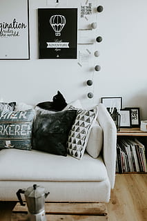 black-and-white, home decor, Contemporary, white home, interior, sofa, magazines, modern, table, cat, pillows, bookcase, stylish, indoors, living Room, domestic Room, comfortable, furniture, decor, apartment, pillow, home Interior, no People, decoration, book, bedroom, bed, text, communication, publication, shelf, representation, absence, bookshelf, large group of objects, cushion, clothing, relaxation, small business, 5K