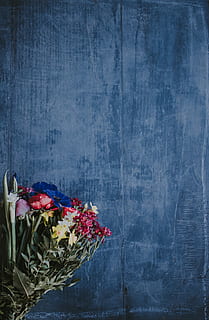 gris, vermell, derrocat, textura, flatlay, fons, teló de fons, flor, planta amb flors, planta, naturalesa, cap gent, frescor, primer pla, a l'interior, vulnerabilitat, fragilitat, bellesa a la natura, pètal, cap de flor, còpia espai, funció de construcció de parets, contenidor, rosa, flor de roses, gerro, arranjament floral, Planta esvaïda, bouquet, Ram de flors, efecte texturat, 4K, CC0, domini públic, lliure de regalies