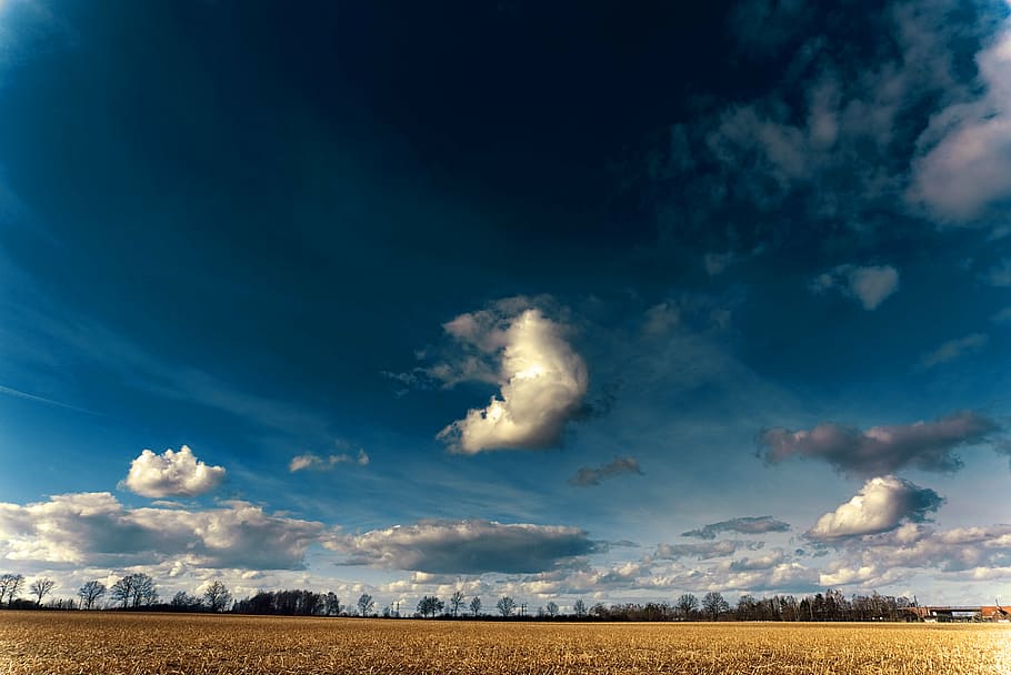 krajobraz, niebo, chmury, niebieski, forma chmur, pole, rolnictwo, chmura - niebo, Natura, dzień, spokojna scena, scenics, scena wiejska, środowisko, wylądować, scenics - natura, horyzont nad ziemią, piękno natury, żadnych ludzi, horyzont, roślina, cloudscape, przyciąć, miejska linia horyzontu, burza, na dworze, półsucha, 5K