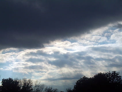 nuvole, cielo, tempeste, alberi, silhouette, buio, rami, le foglie, nuvoloso, sera, tempo metereologico, clima, drammatico, all'aperto, atmosfera, orizzonte, crepuscolo, tempestoso, nuvola - cielo, albero, bellezza nella natura, pianta, la tranquillità, scenics - natura, scena tranquilla, nessuno, natura, Inquadratura dal basso, giorno, crescita, cima dell'albero, idilliaco, scena non urbana, wispy, 720P, CC0, dominio pubblico, privo di copyright