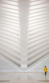 person, wearing, yellow, coat, walking, white, floor, inside, building, architecture, structure, ribbed, oculu, theoculu, wallstreet, architect, manhattan, nyc, new york, indoors, one person, real people, sunlight, day, pattern, men, lifestyles, white color, railing, shadow, staircase, built structure, steps and staircases, wall - building feature, illuminated, flooring, ceiling, 5K, CC0, public domain, royalty free