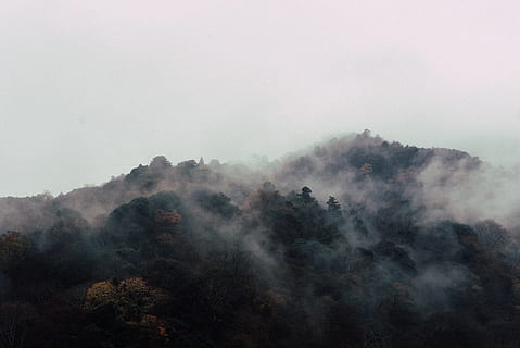 Antenne, Fotografie, Berg, Nebel, bedeckt, Gebirgsfoto, Arashiyama, Kyoto, Japan, Wolke, Wald, Natur, Baum, Landschaft, draußen, szenen, wolke - himmel, Wetter, Himmel, keine Leute, Ruhe, Umgebung, Pflanze, Schönheit in der Natur, Szenen - Natur, Land, Nicht-städtische Szene, ruhige Szene, Morgen, Smog, Gipfel, 4K, CC0, gemeinfrei, lizenzfrei