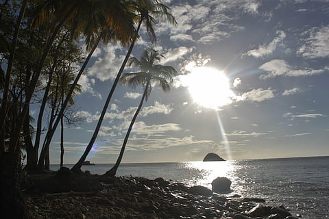 cielo, raggi, tramonto, crepuscolo, sera, spiaggia, paesaggio, Paradiso, vacanza, mare, viaggio, MARTINICA, acqua, bellezza nella natura, luce del sole, scenics - natura, sole, albero, orizzonte sull'acqua, terra, orizzonte, raggio di sole, natura, la tranquillità, scena tranquilla, pianta, roccia, riflesso lente, nessuno, all'aperto, luminosa, illuminata, 4K, CC0, dominio pubblico, privo di copyright