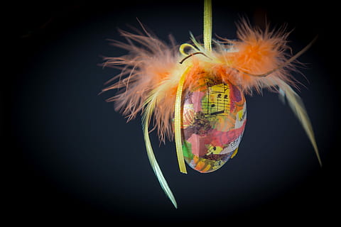 uovo di Pasqua, coniglietto di Pasqua, Pasqua, nido di Pasqua, decorazione, primavera, nessuno, un animale, sfondo nero, subacqueo, avvicinamento, temi animali, natura, in casa, girato in studio, bellezza nella natura, colore arancione, animale, multicolore, freschezza, fauna selvatica, fragilità, vulnerabilità, pianta, fiore, 4K, CC0, dominio pubblico, privo di copyright