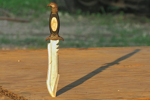 Messer, stechen, Griff, Adler, Schatten, Tabelle, stehlen, Sonnenlicht, Holz, draußen, Scharf, Punkt, gezähnt, Bowie, Holz - Material, Fokus auf den Vordergrund, keine Leute, Tag, Natur, Kunst und Handwerk, Nahansicht, Baum, Kreativität, Metall, Dekoration, Kunst, gestalten, Darstellung, braun, 4K, CC0, gemeinfrei, lizenzfrei