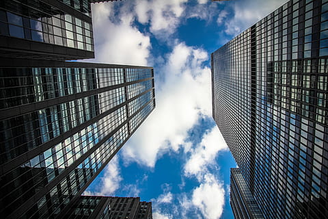 vista occhio di vermi, grigio, edifici, chiaro, cieli, nuvole, prospettiva, cielo, grattacieli, architettura, esterno dell'edificio, struttura costruita, città, nuvola - cielo, moderno, edificio per uffici esterno, riflessione, costruzione, ufficio, alto - alto, Business aziendale, Inquadratura dal basso, vetro - materiale, natura, attività commerciale, nessuno, grattacielo, all'aperto, direttamente sotto, distretto finanziario, appartamento, 5K, CC0, dominio pubblico, privo di copyright