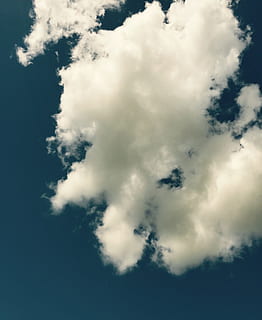 Sky, skyer, form, himmel, skyer form, himlen, landskab, blå, natur, vejr, sky - himmel, udendørs, cloudscape, dag, baggrunde, luft, sommer, klima, overskyet, meteorologi, fluffy, ingen mennesker, cumulus sky, scenics, stratosfæren, hvid, lav vinkel visning, skønhed i naturen, ro, scenics - natur, rolig scene, idyllisk, sollys, ikke-urbane scene, træ, hvid farve, fuld ramme, miljø, højde, 2K, CC0, offentligt domæne, royaltyfrie