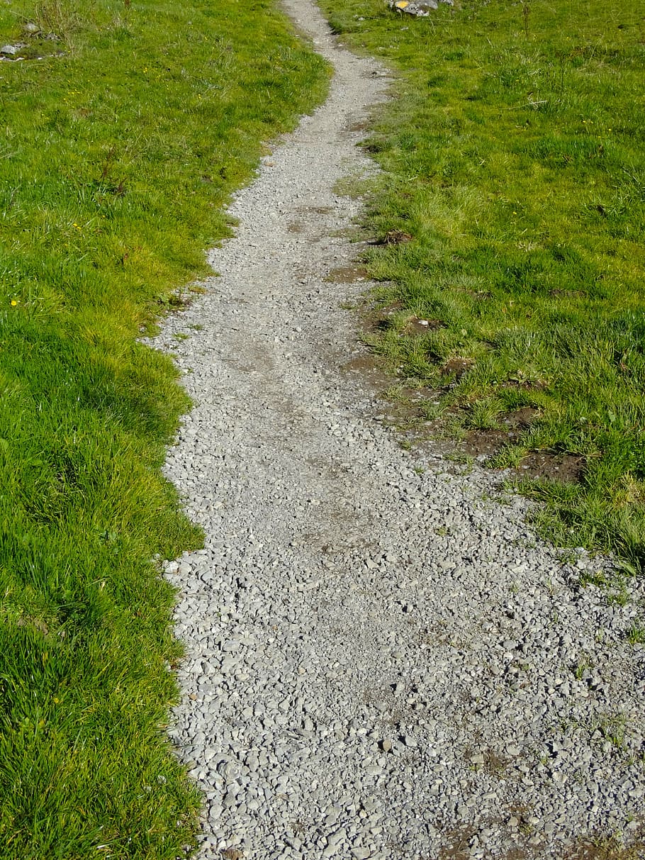 pista, lontano, sentiero, percorso migratorio, sentiero di montagna, strada di ghiaia, pianta, erba, direzione, colore verde, la strada davanti, giorno, crescita, natura, terra, nessuno, la tranquillità, campo, paesaggio, bellezza nella natura, ambiente, all'aperto, vista dall'alto, sporco, scena tranquilla, lungo, 5K