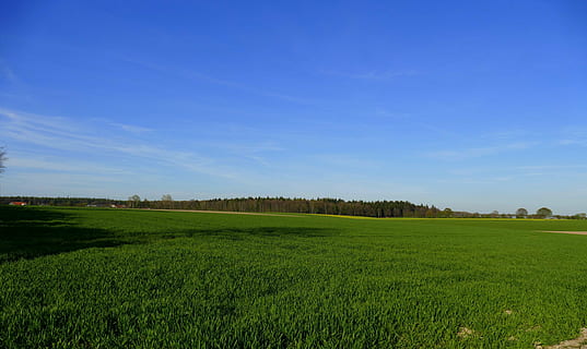 niederrhein, krajina, hlášeny, pole, les, jaro, Příroda, Německo, panoráma, nebe, modrý, mraky, rostlina, tráva, klidné scény, zelená barva, scenics - příroda, životní prostředí, krása v přírodě, klid, přistát, růst, venkovské scény, zemědělství, strom, mimoměstské scény, den, nikdo, venku, 5K, CC0, veřejná doména, bez autorských práv