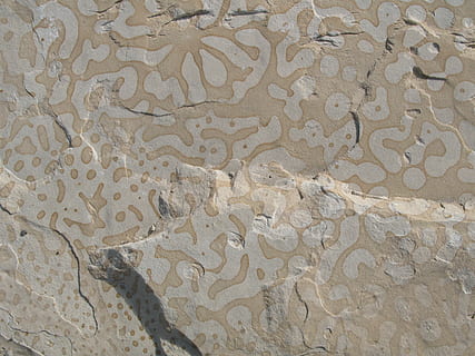 Rock, Pattern, Design, Stone, red rock canyon, backgrounds, full frame, no people, textured, smooth, high angle view, day, close-up, outdoors, nature, water, beige, wall - building feature, built structure, flooring, architecture, 2K, CC0, public domain, royalty free