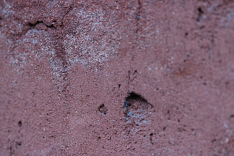 Struktur, Muster, Hintergrund, abstrakt, Textur, Stein, Pflasterstein, rot, Wand, Texturen, Boden, verwittert, Mauerwerk, Vollbild, Hintergründe, texturiert, gebaute Struktur, Tag, menschliches Körperteil, Wandbau - Funktion, keine Leute, selektiver Fokus, Nahansicht, Tier, Tierthemen, alt, Land, heruntergewirtschaftet, Rau, draußen, ein Tier, Loch, Sand, Verschlechterung, Beton, 5K, CC0, gemeinfrei, lizenzfrei