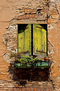 grønt trævindue, grøn, planter, balkon, vindue, bygning, væg, mursten, årgang, bygget struktur, arkitektur, bygning udvendig, ingen mennesker, dag, træ - materiale, gammel, murbygningsfunktion, natur, udendørs, plante, forvitret, grøn farve, forladt, dør, indgang, hus, ødelagt, 5K, CC0, offentligt domæne, royaltyfrie
