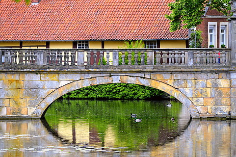 Wasser, Fenster, Steinbrücke, Brücke, Wasser, Fenster, Fliese, Enten, rot, Gelb, See, Natur, die Architektur, Landschaft, Spiegeln, Bewegung, historisch, burgsteinfurt, alt, Stockenten, Antiquität, Reflexion, gebaute Struktur, Gebäudehülle, Brücke - künstliche Struktur, Verbindung, Ufergegend, Gebäude, Bogenbrücke, Bogen, Pflanze, Fluss, keine Leute, Tag, draußen, 4K, CC0, gemeinfrei, lizenzfrei