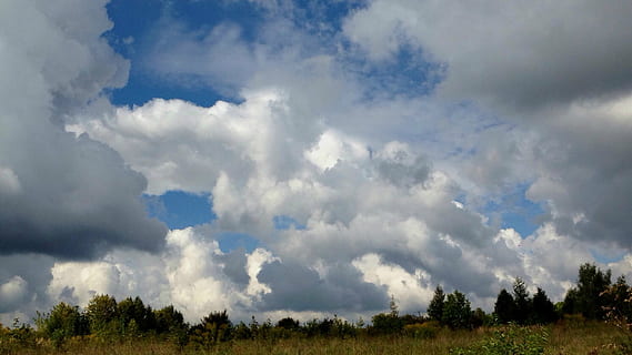 himmel, skyer, skydække, glomerulus, natur, højden af, landskaber, naturens skønhed, sky - himmel, træ, plante, miljø, dag, landskab, ingen mennesker, skønhed i naturen, scenics - natur, græs, udendørs, blå, jord, ikke-urbane scene, grøn farve, Skov, forurening, meteorologi, 1080P, CC0, offentligt domæne, royaltyfrie
