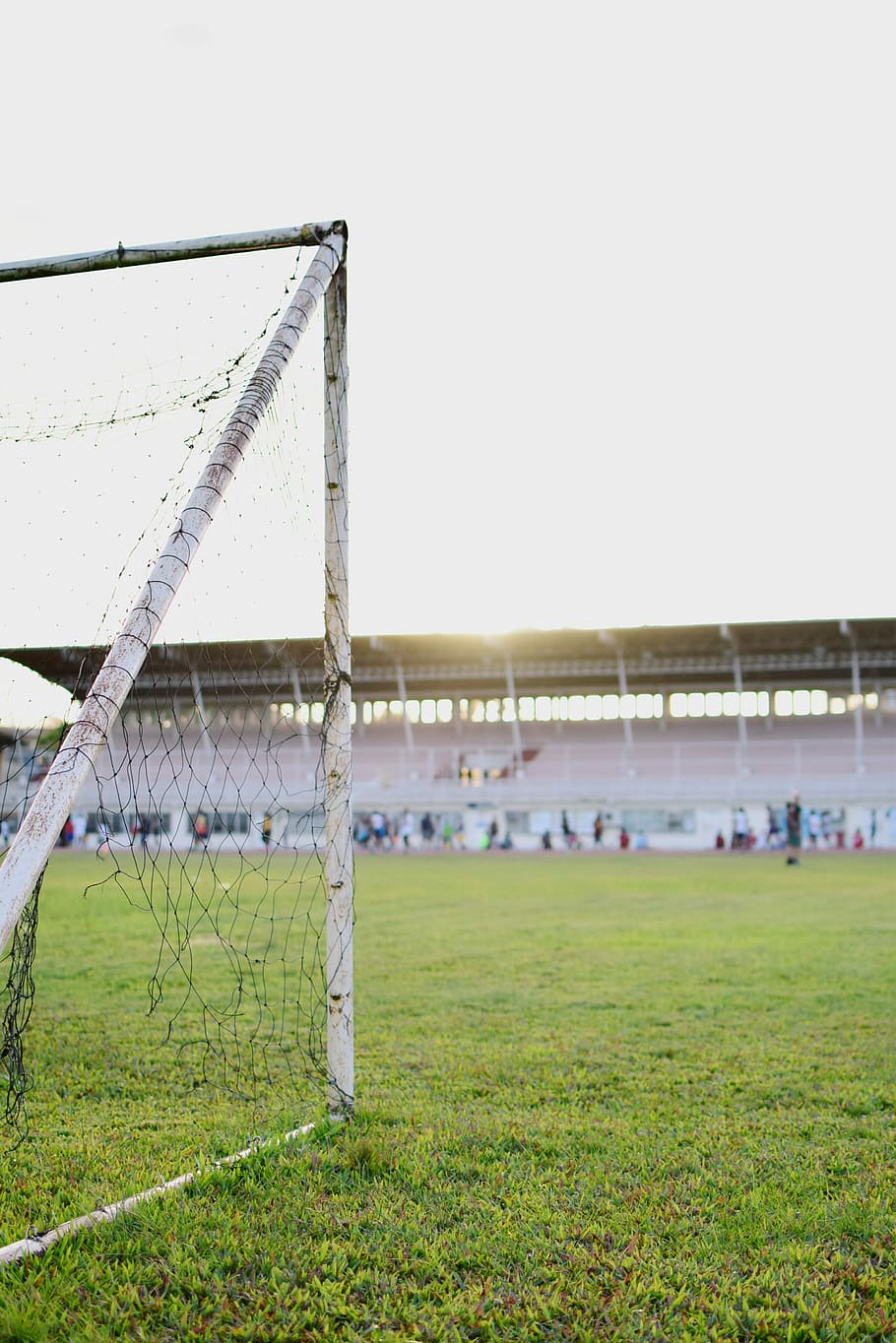 blanc, porter, net, verd, camp de gespa, selectiu, foto del focus, gol de futbol, Brea, coincidir, publicació, pol, herba, cel, naturalesa, planta, esport, camp de futbol, cel clar, terra, futbol, camp, color verd, dia, còpia espai, esport d’equip, persones incidentals, medi ambient, a l'aire lliure, camp de joc, aigua, 4K