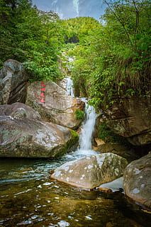 stream, gunung, kolam, air, menanam, batu, pohon, batu - benda, padat, keindahan di alam, scenics - alam, alam, air mengalir, hutan, air terjun, hari, pertumbuhan, gerakan, sungai, adegan non-urban, tidak ada orang, warna hijau, mengalir, di luar rumah, aliran - air yang mengalir, kekuatan di alam, 5K, CC0, domain publik, bebas royalti