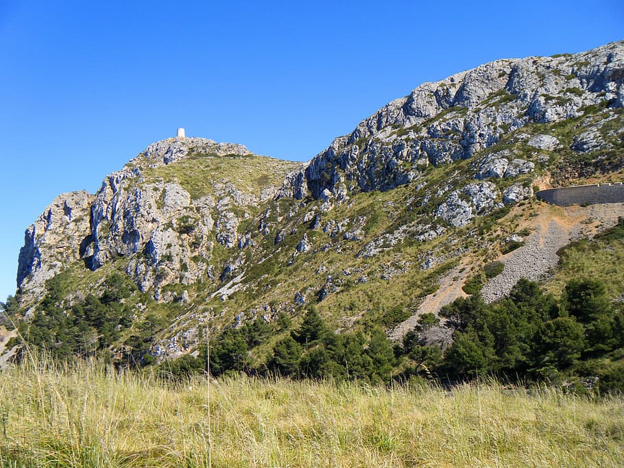 majorca, turó, muntanya, arbre, bosc, muntanyes, paisatge, rock, naturalesa, torre, vista, rodant, penya-segat, cel, planta, bellesa a la natura, cel clar, tranquil·litat, escena tranquil·la, terra, medi ambient, cap gent, herba, dia, creixement, escenics - natura, blau, llum solar, a l'aire lliure, 2K