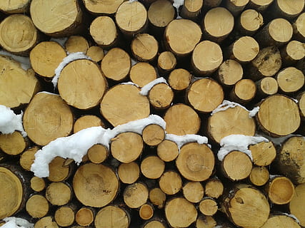 snow, trunks, cut, log, firewood, timber, wood, stack, wood - material, lumber industry, large group of objects, deforestation, abundance, full frame, tree, forest, no people, backgrounds, fuel and power generation, environmental issues, nature, heap, day, outdoors, woodpile, 2K, CC0, public domain, royalty free