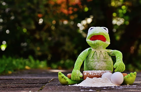 kermit, fırında pişirmek, oklava, Yumurta, un, malzemeler, HAZIRLAMA, hazırlık, açarak yaymak, kurbağa, komik, sevimli, temsil, Sanat ve zanaat, insan temsili, Gıda, ön plana odaklanmak, yaratıcılık, yiyecek ve içecek, insansız, yeşil renk, kutlama, oyuncak, heykel, gün, dekorasyon, zanaat, sağlıklı beslenme, kapatmak, doğa, 5K, CC0, kamu malı, telif ücretsiz